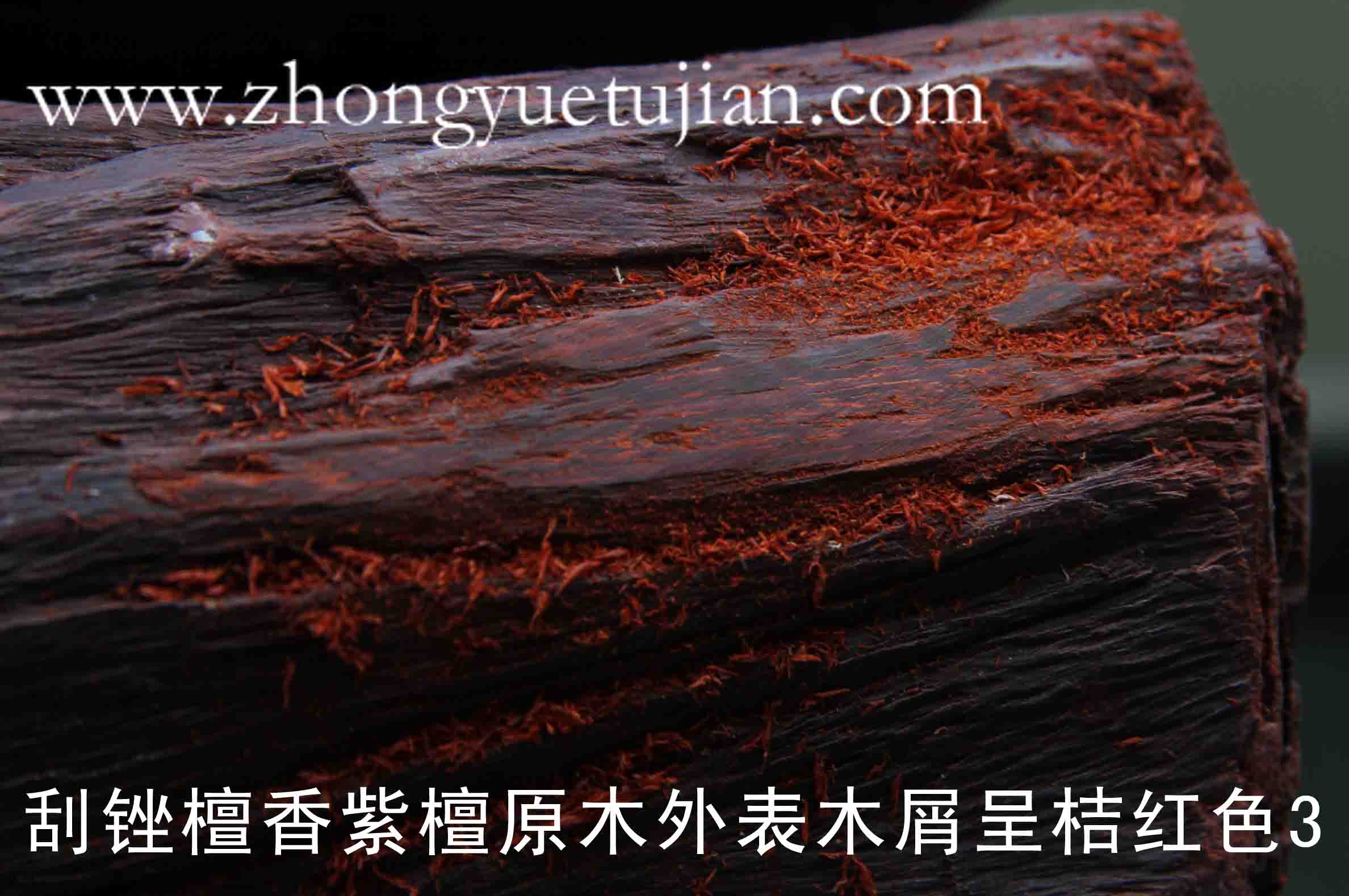 001(24)刮锉檀香紫檀原木外表木屑呈桔红色3.jpg